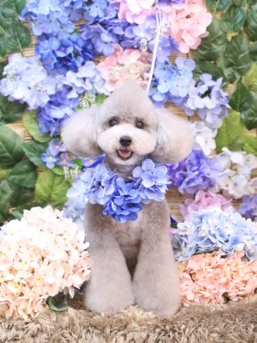 20250611宇宙くん